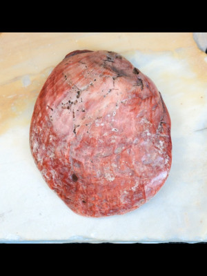 Perle coquillage antique