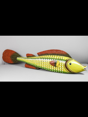 Magnifique poisson bozo