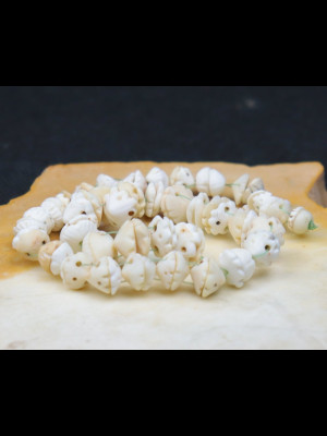 74 perles anciennes travaillées en coquillage