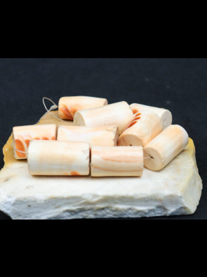 9 perles en coquillage