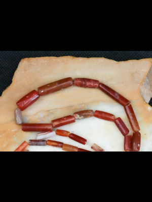 Fil de 38 perles tubulaires en cornaline 