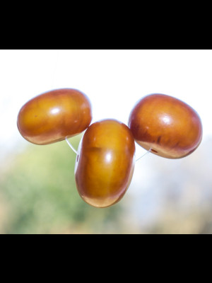 3 perles d'ambre africain (résine phénolique)